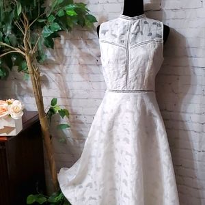 Anthropologie Champagne and Strawberry Lucille A-line Dress